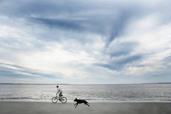 Pet Friendly Oceanfront Rentals South Carolina: Where to Stay